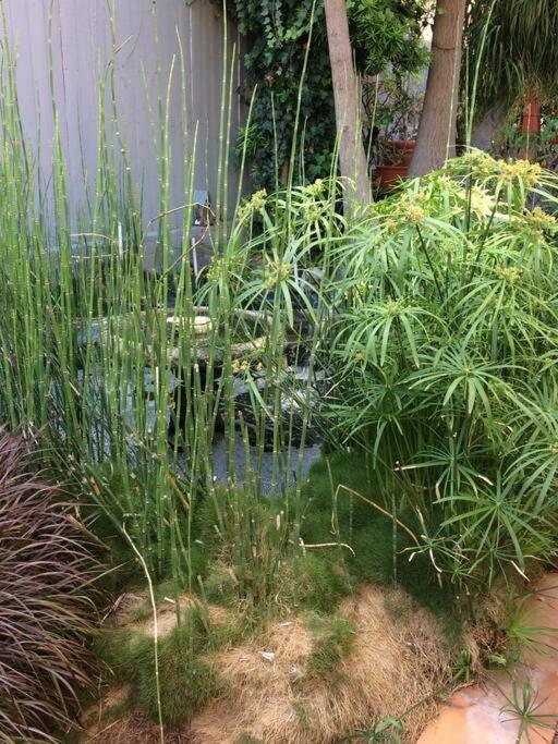 Serenity House Near Gaslamp, San Diego Zoo & Petco ภายนอก รูปภาพ