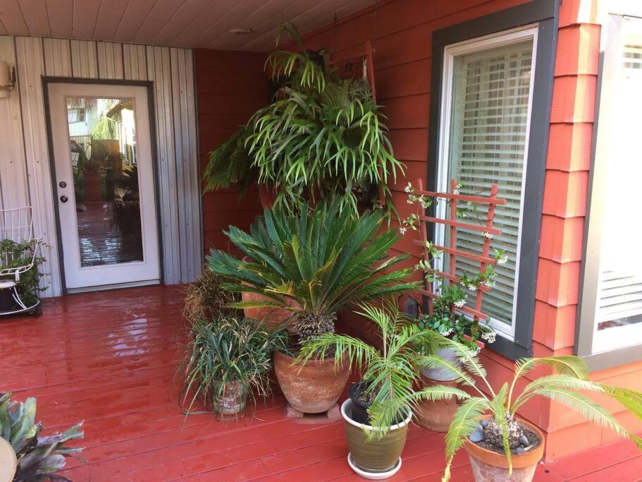 Serenity House Near Gaslamp, San Diego Zoo & Petco ภายนอก รูปภาพ